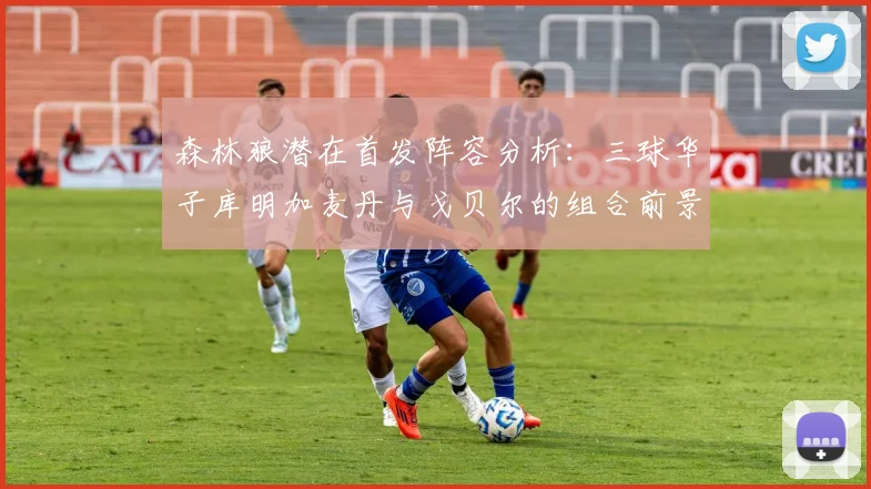 森林狼潜在首发阵容分析：三球华子库明加麦丹与戈贝尔的组合前景如何